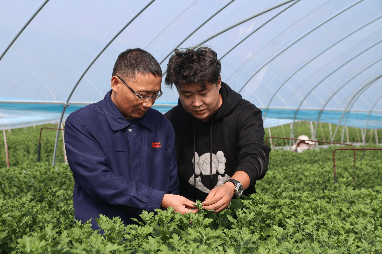 染发剂健康升级与个人形象管理价值生态重构战略研究_人保财险政银保 ,人保财险 