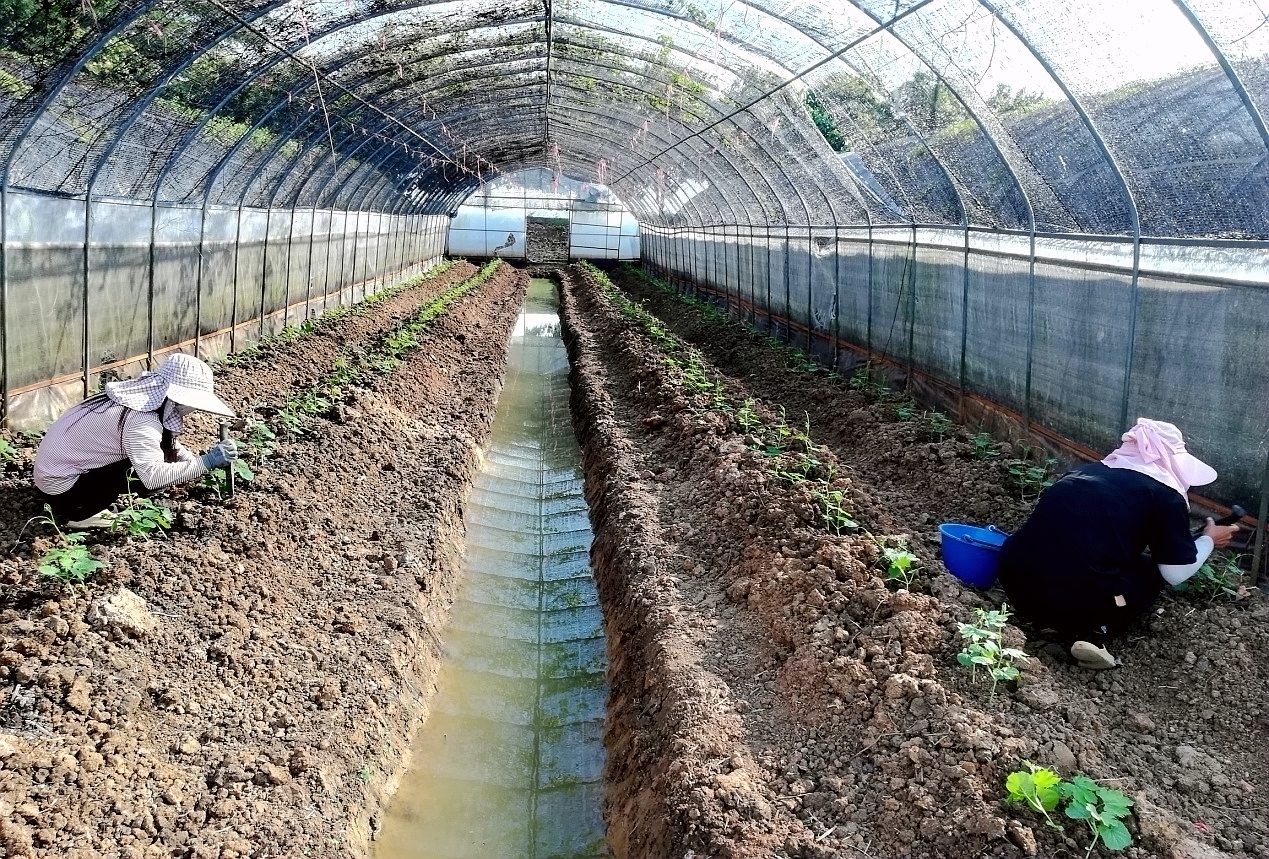 华自科技:柬埔寨项目正在有序验收中