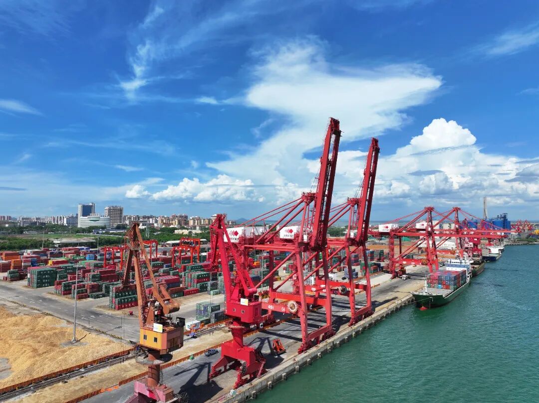 招商港口:公司积极把握海南自贸港发展机遇
