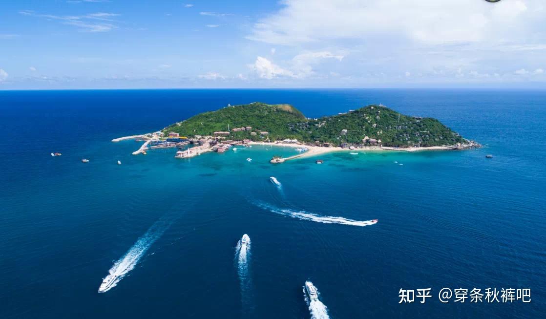 欣龙控股:立足海南自贸港服务健康美好生活