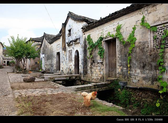 "暖春"来了？德勤母兰英：2026年将更分化，警惕非理性繁荣