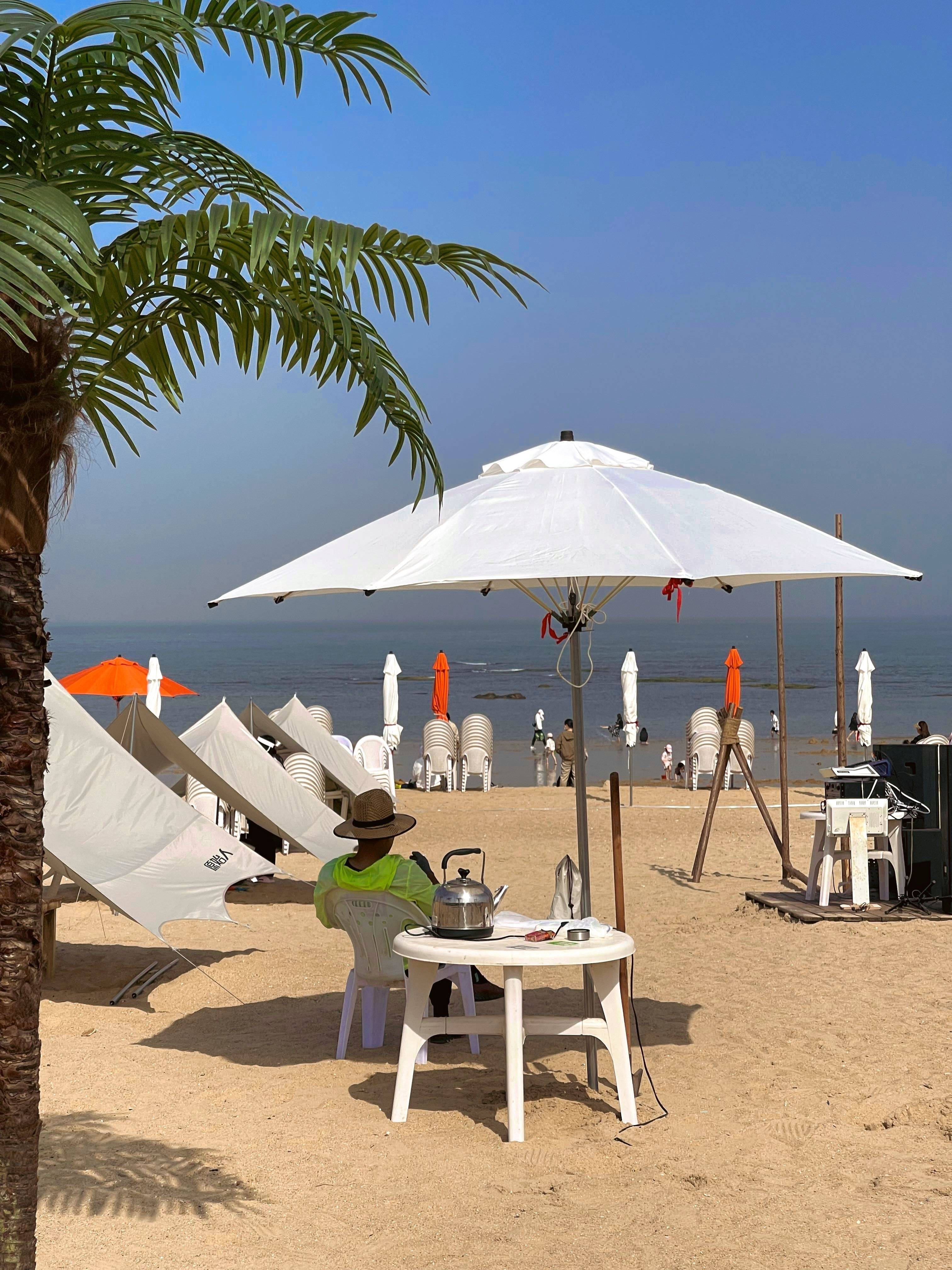 2026出国咨询项目可行性：在不确定的潮汐中，成为值得信赖的灯塔_人保财险政银保 ,人保伴您前行