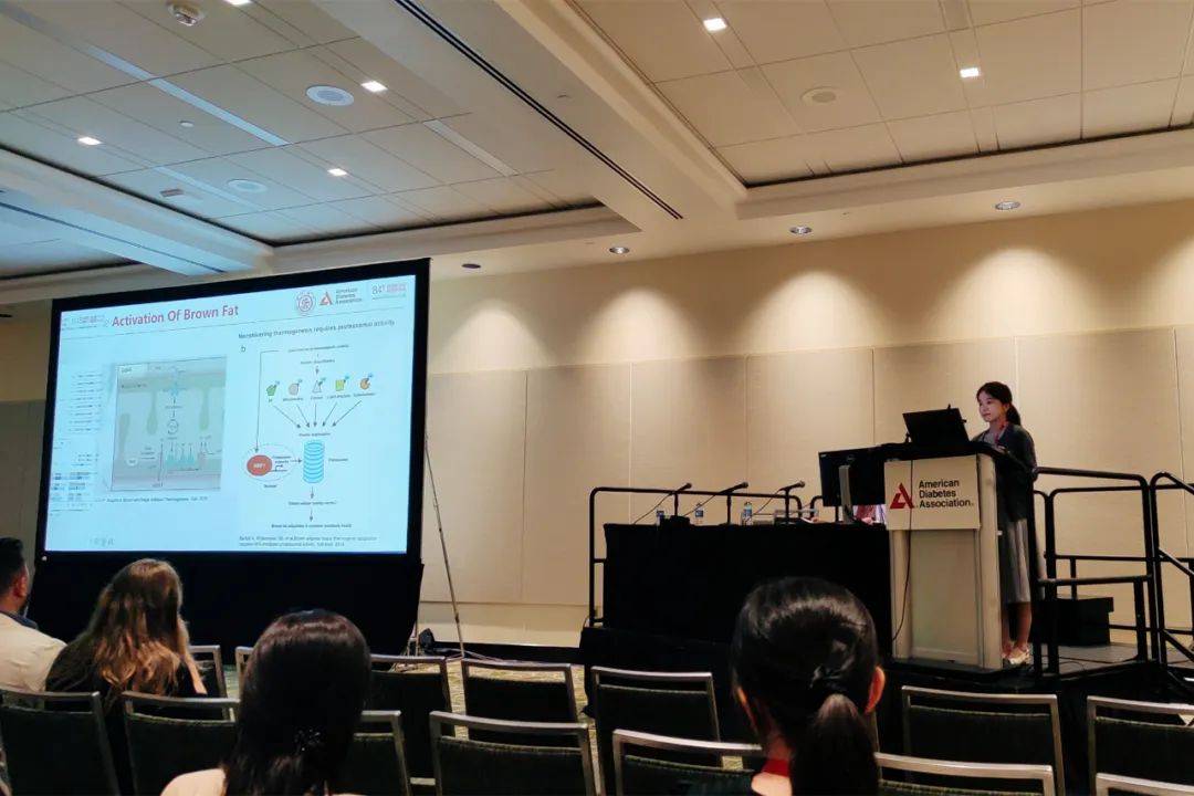 国际医学:第十三届董事会成员任期自2024年5月20日起,任期三年