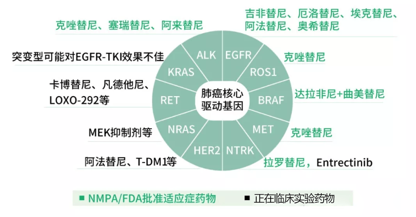 恒瑞医药：子公司收到HRS-6257片临床试验批准通知书 国内尚无同靶点药物获批上市