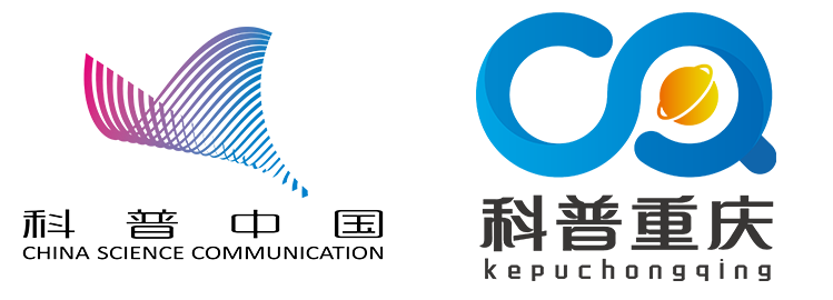 2026聚酯纤维项目可行性：从“纤维制造”到“纤维科技”的跃迁_人保车险   品牌优势——快速了解燃油汽车车险,人保车险