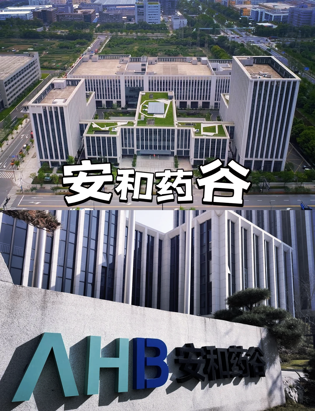 赴港上市的先为达生物:估值水涨船高难掩亏损窘境,核心产品遭红海围剿