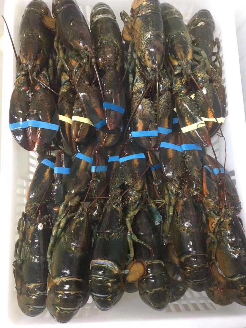 江波龙：SOCAMM2尚未形成实质性收入