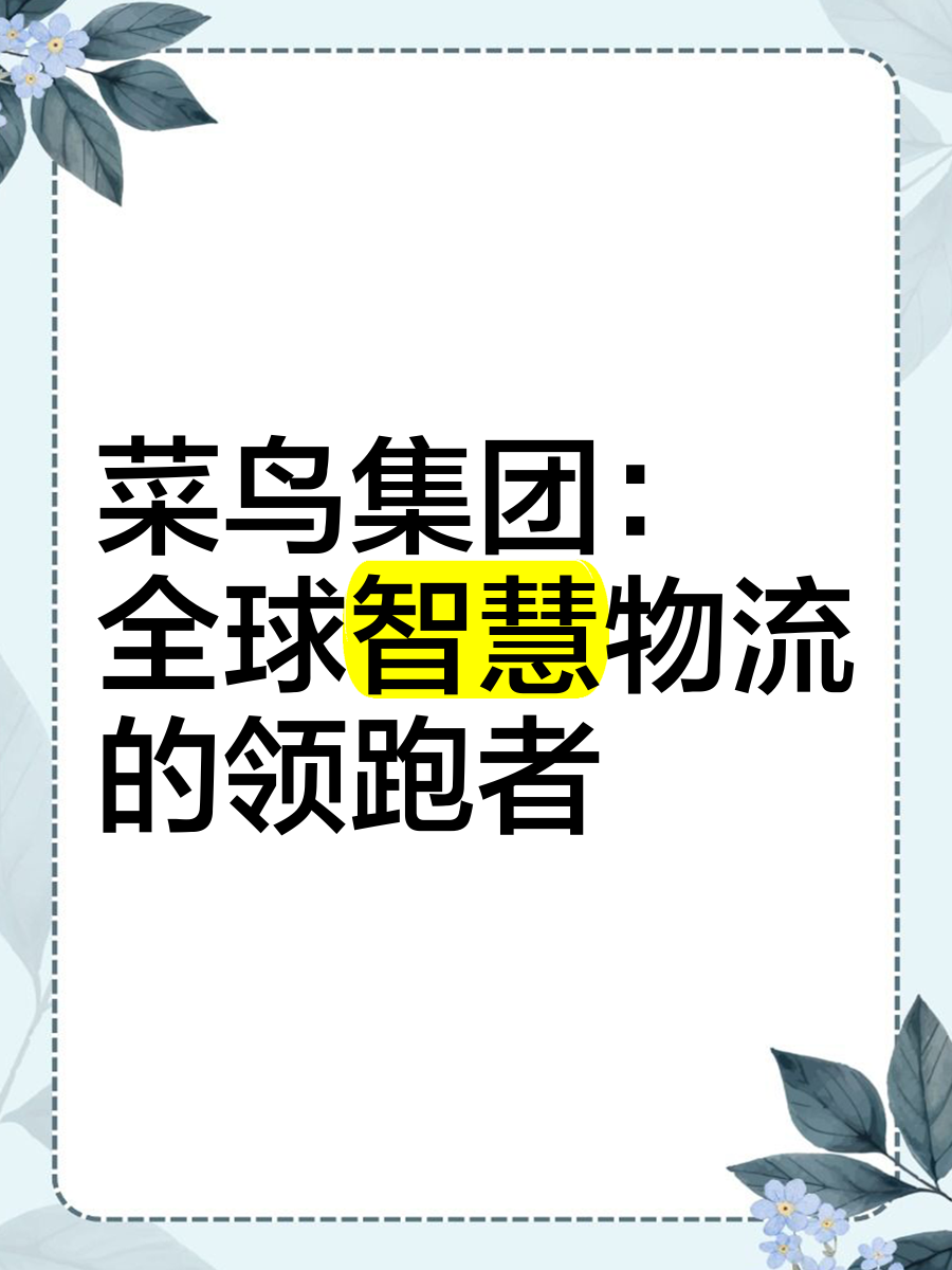 菜鸟加速物流科技出海 构建全球物流科技服务体系