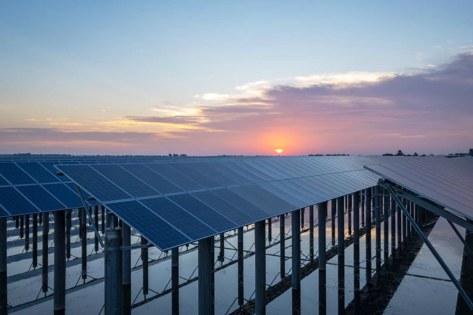 新年资金入市！超450亿公募资金到位，“万亿活水”在路上