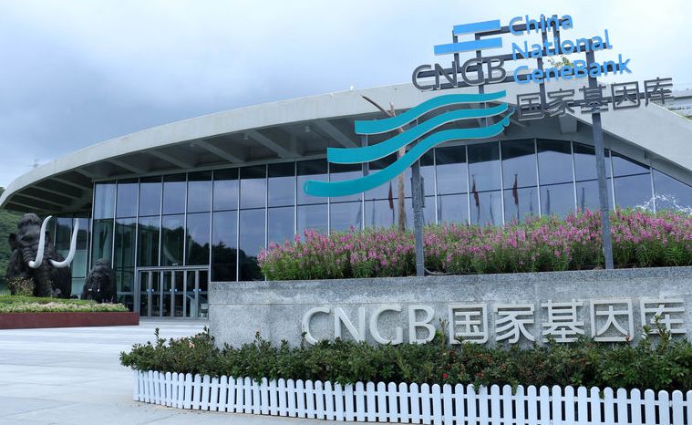 普蕊斯：截至2025年12月31日股东总数为6,759户