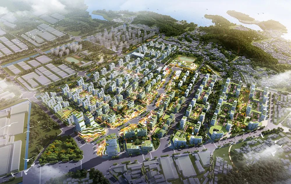 广西启动完整社区建设三年行动 力争建成200个完整社区