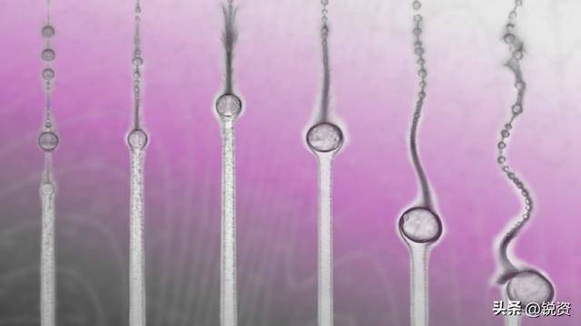 我国科研人员发现“溶解压卡效应” 开辟绿色制冷新路径