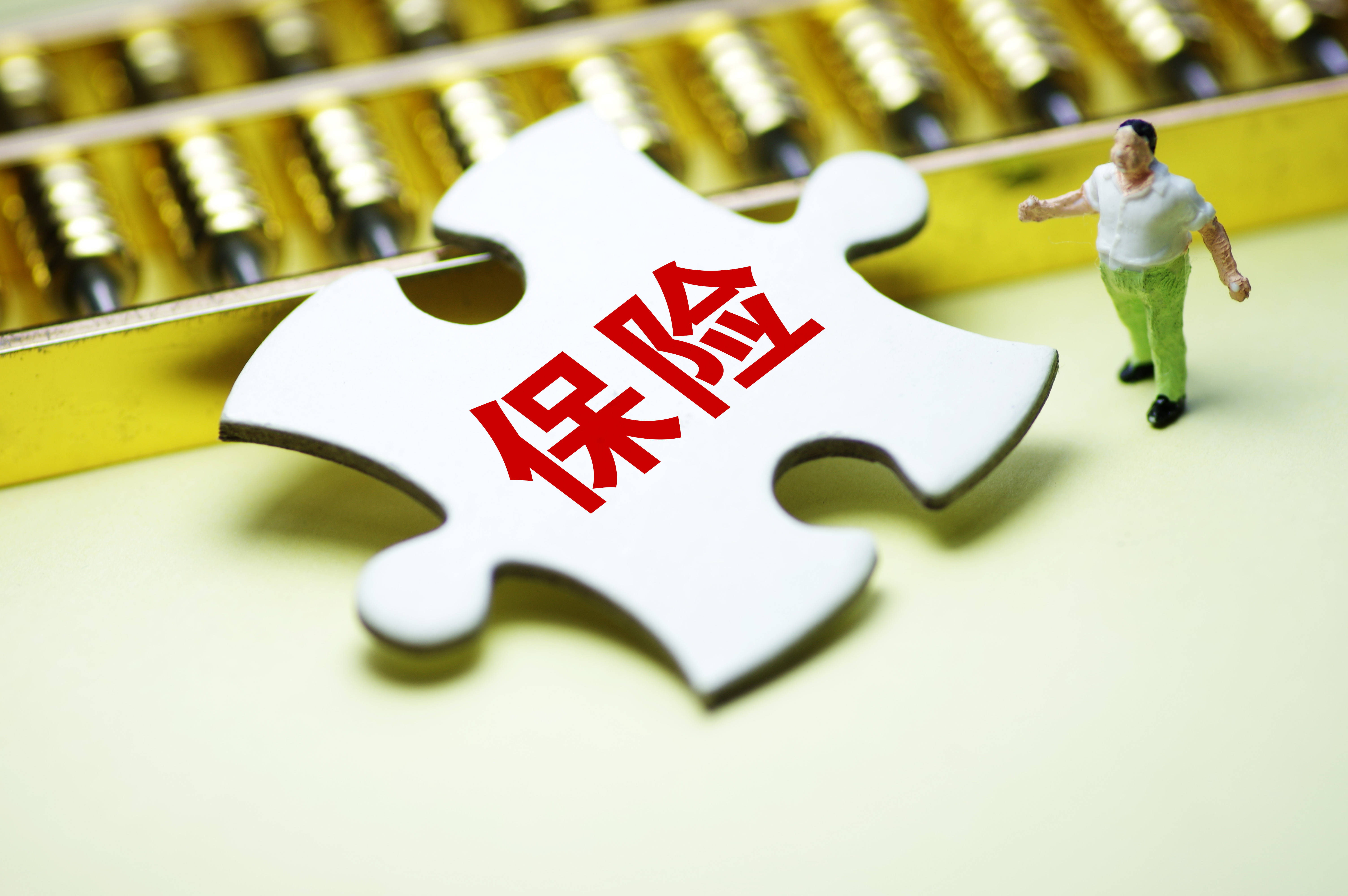 保险有温度,人保服务_2026饲料市场发展现状调查及竞争格局、未来趋势分析