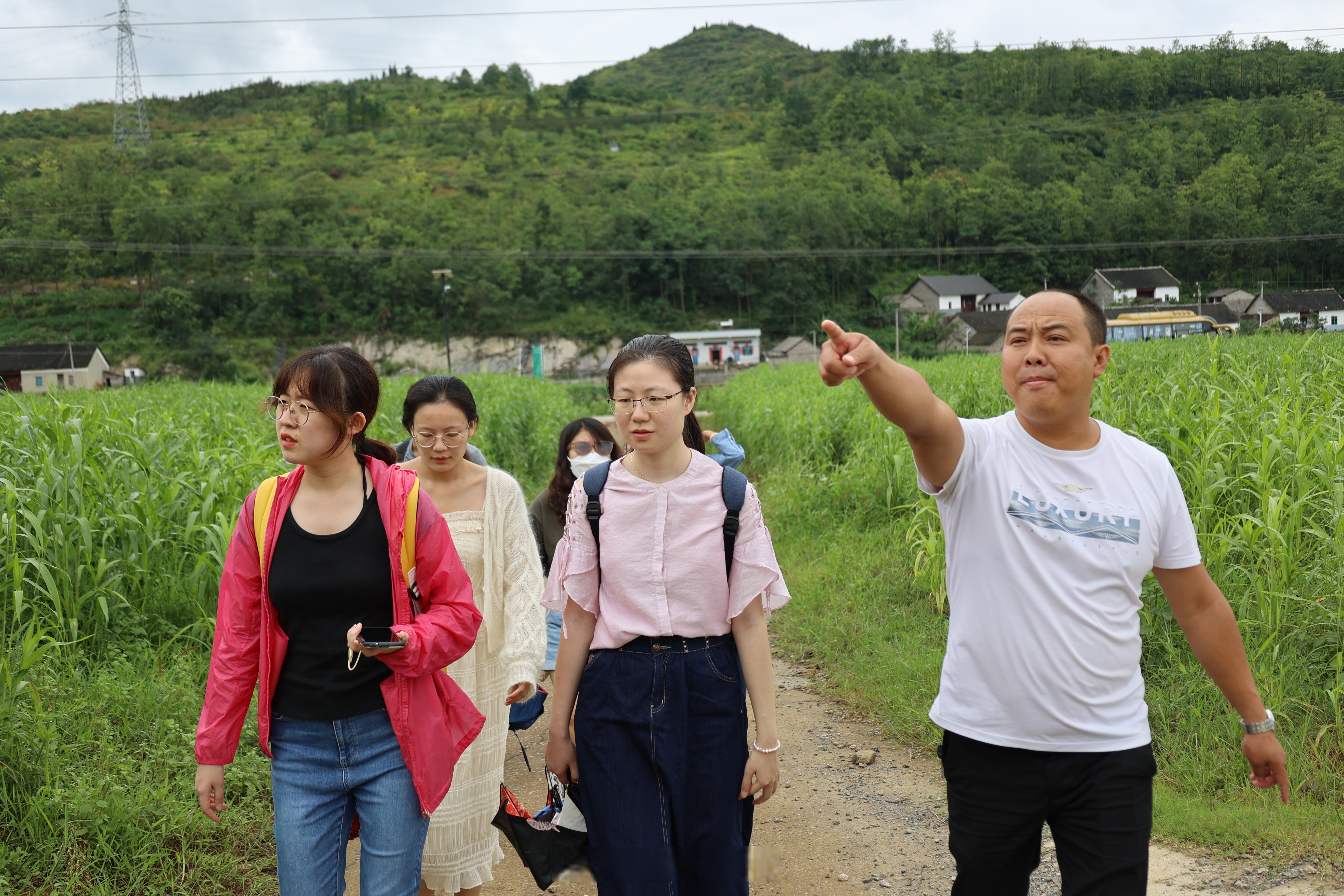 （乡村行・看振兴）晋北小城山西左云大作为：特色产业富农家 科技赋能稳增收