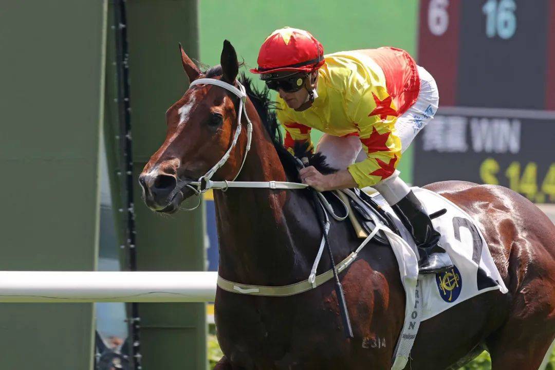 “香港马王”将出战一级赛“百周年纪念短途杯”