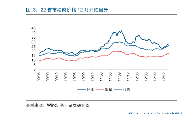 2026-2030年中国番茄酱行业:大宗原料价格周期下的成本控制与套期保值策略_拥有“如意行”驾乘险,出行更顺畅!,人保有温度