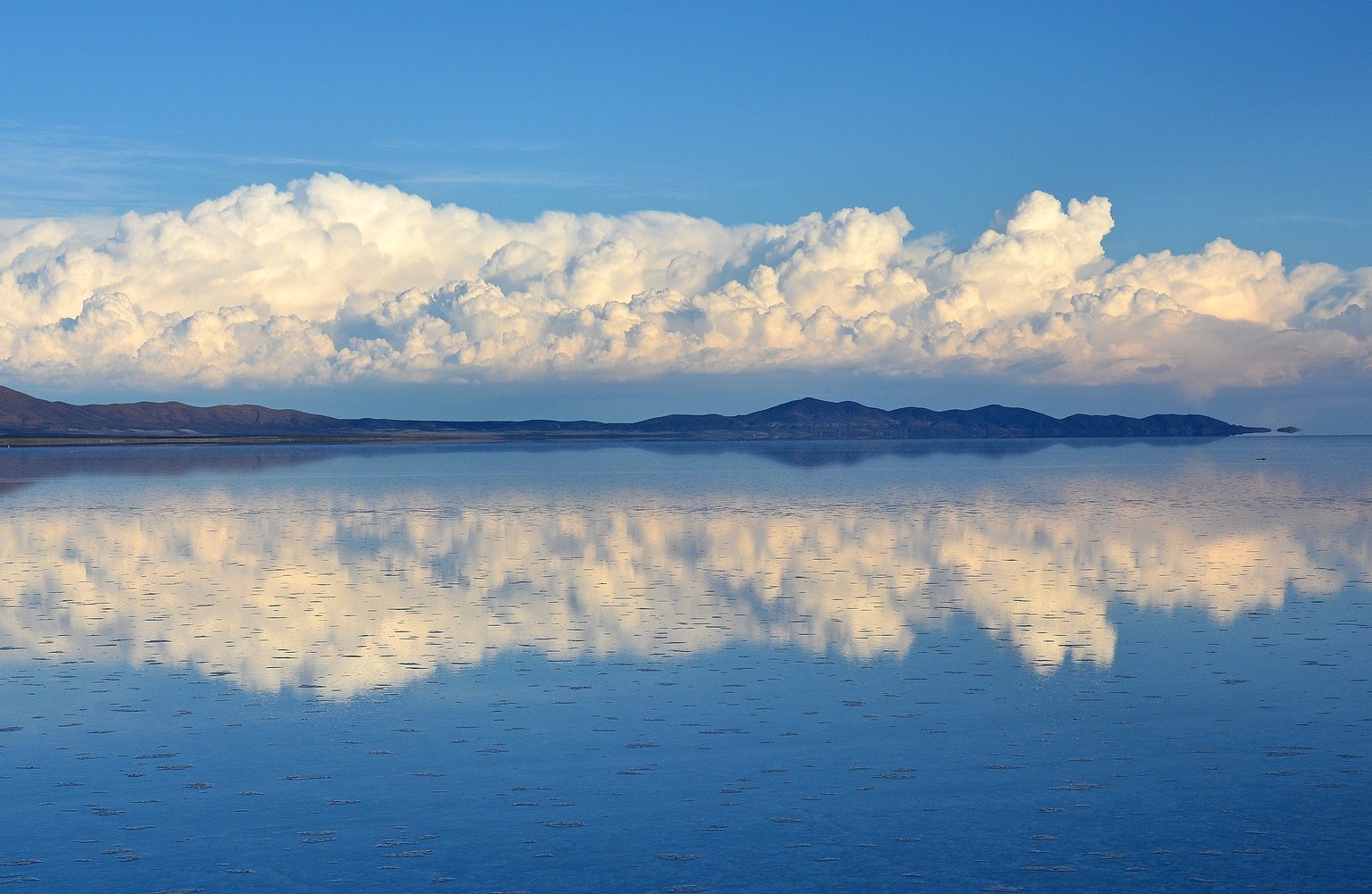 吉大通信(300597.SZ):预计2025年净亏损5960万元-8920万元