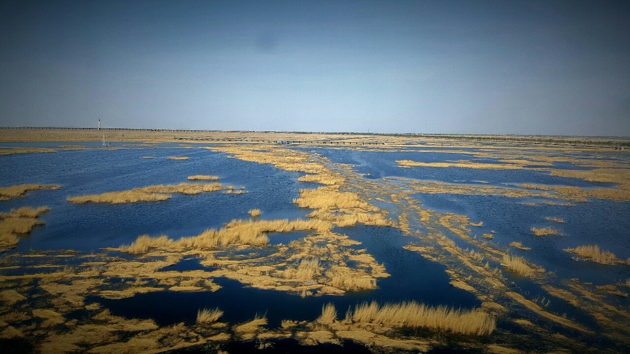 黑龙江：5年来农村生活污水治理率提升至53.8%