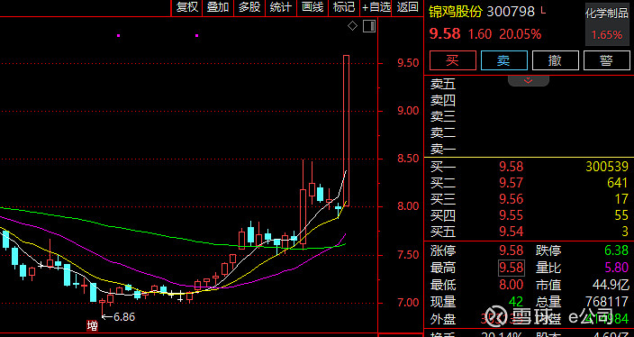 1月30日万丰股份涨停：染料概念热股