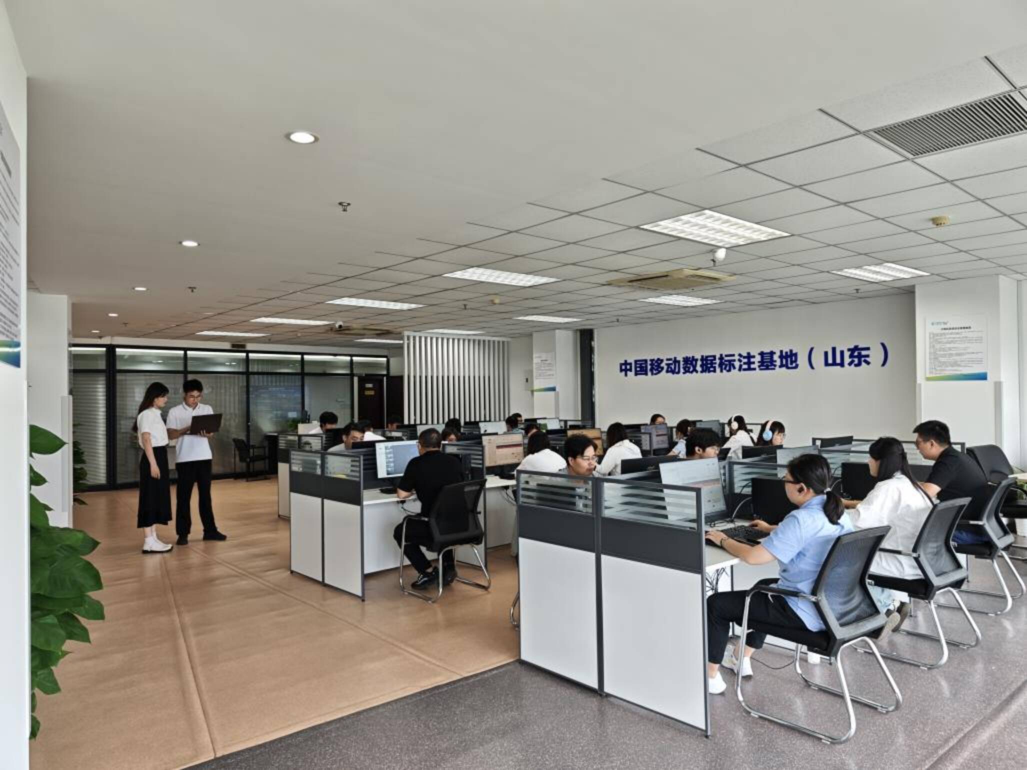 2026银发经济产业深度调研:需求分层与供给创新并进_人保服务,人保财险