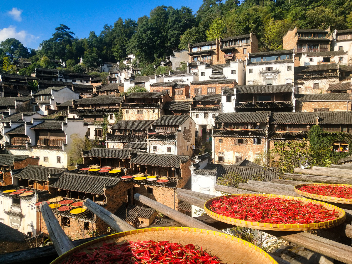 （走进中国乡村）小鹅绒撑起中国东北乡村“温暖产业”