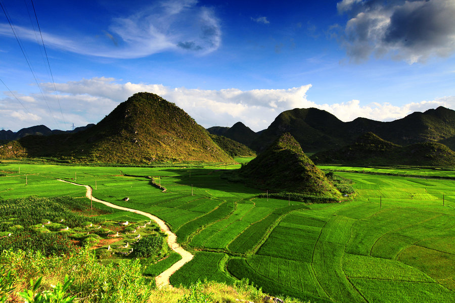 （走进中国乡村）小鹅绒撑起中国东北乡村“温暖产业”