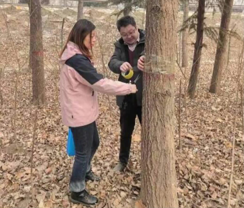 雅本化学：公司关注到了湖南2026“虫情预报”的有关新闻