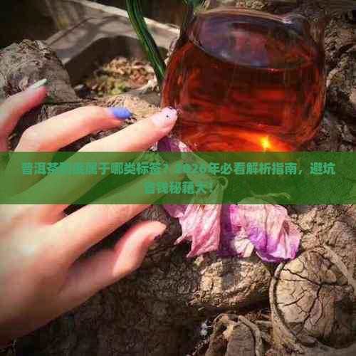 2026-2030年黑茶市场：产区竞争与品牌格局演变_人保服务 ,人保护你周全