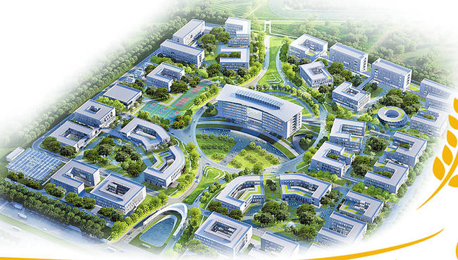 生物谷资金占用案冻结款高效发还上市公司