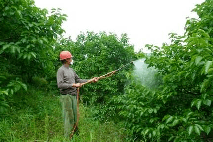 人保车险,人保财险 _2026草甘膦产业：当“除草剂之王”遭遇“绿色审判”