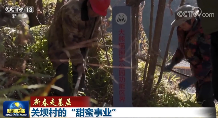 新春走基层 | 深圳迎春花市的经济账：一枝春色撬动亿元市场