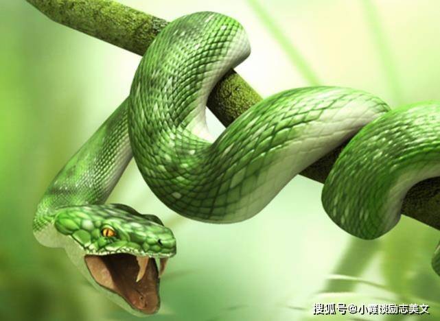 马年开工在即！挖掘致富密码，首先需要什么？