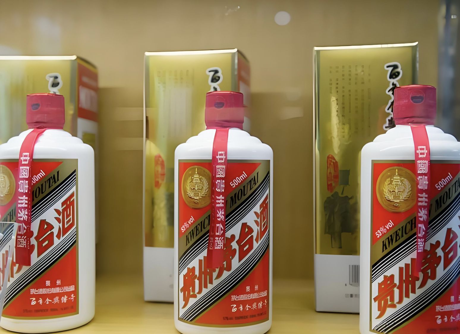 陈华调研茅台酒旅一体化项目建设