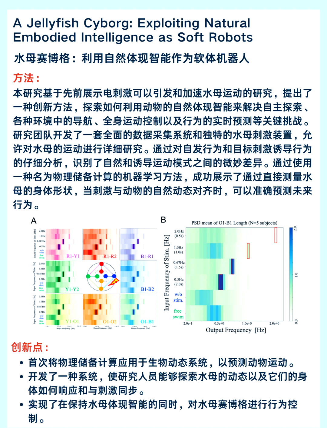 首个人形机器人与具身智能标准体系发布