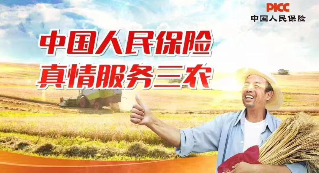 人保伴您前行,人保财险政银保 _2026-2030年版化工装备项目可行性研究咨询分析