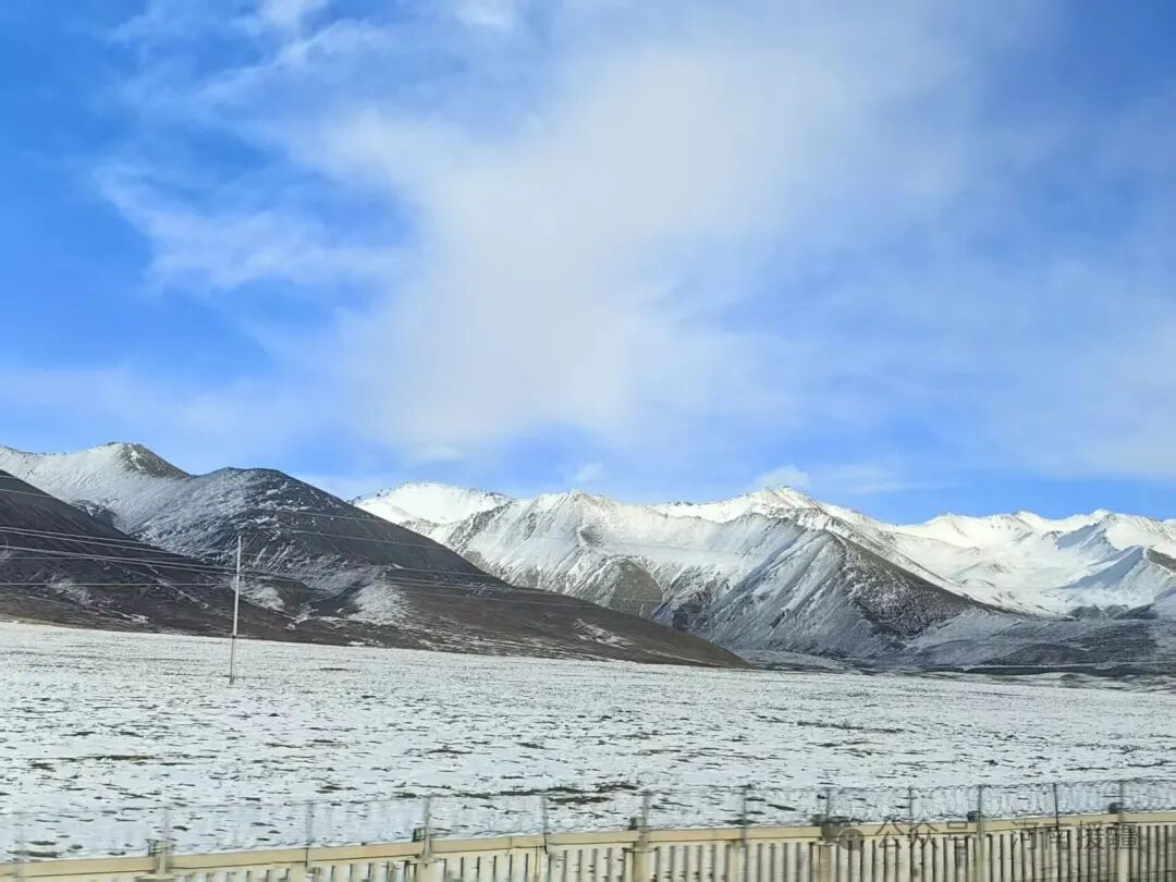 记者手记:瑞雪映初心 代表委员信心升腾