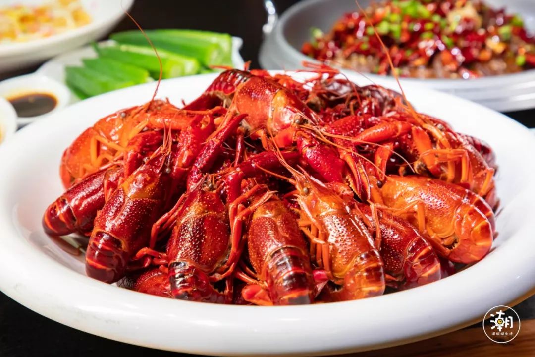 深圳龙岗发布“龙虾十条”!最高1000万元股权投资支持,速看→