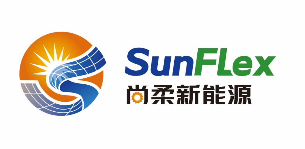 全国人大代表、九洲集团董事长李寅：推动分布式新能源就近消纳