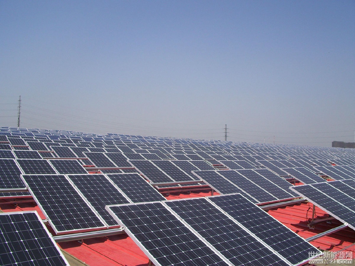 全国人大代表、九洲集团董事长李寅：推动分布式新能源就近消纳