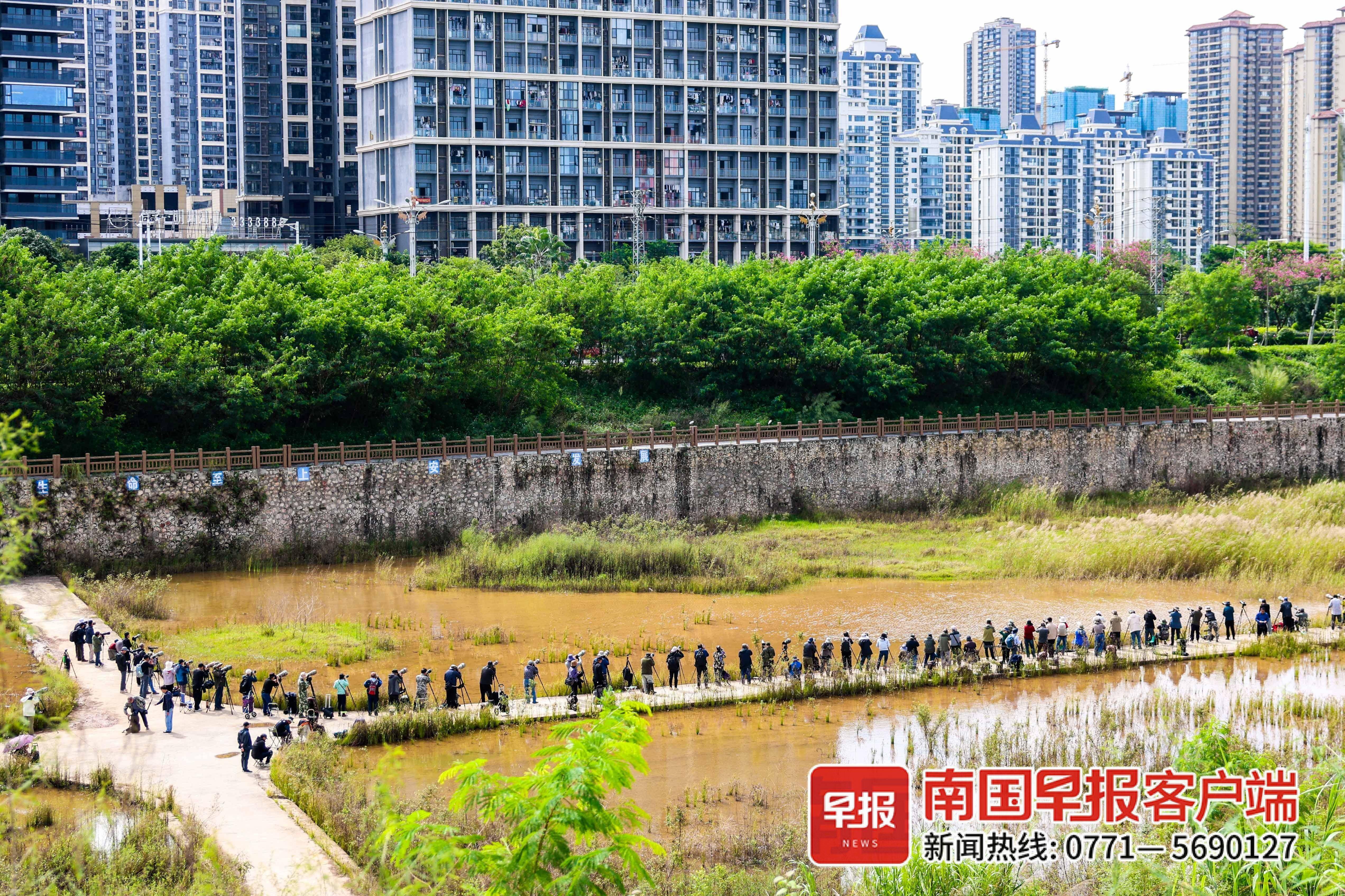 立方风控鸟·早报（3月14日）