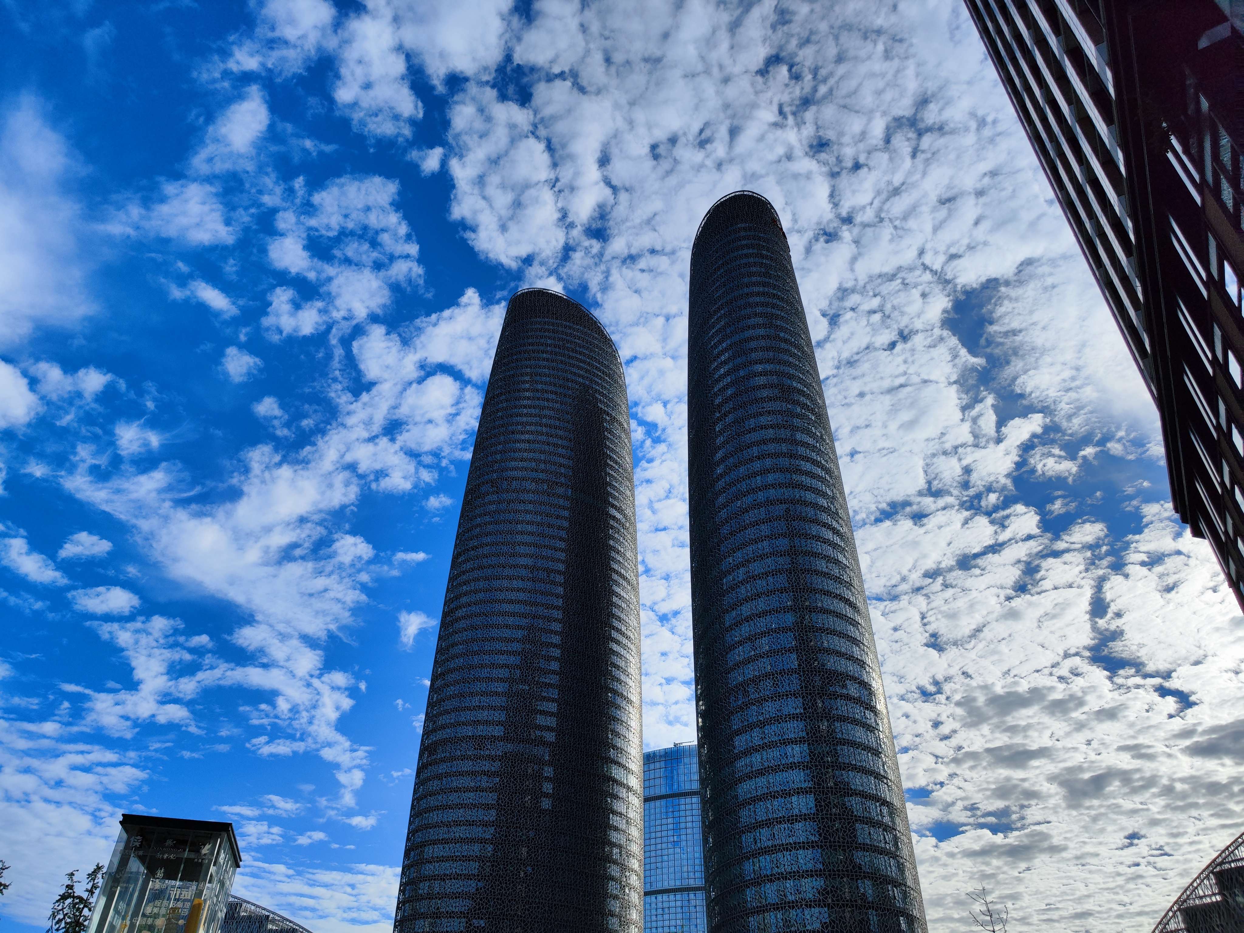 “3・15”晚会曝光的成都3家涉事企业已被责令停产停业