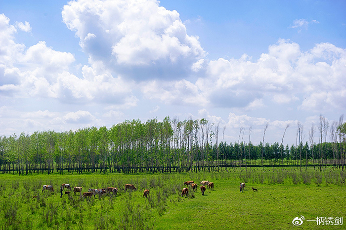 探访中国西北规模最大马铃薯基因库