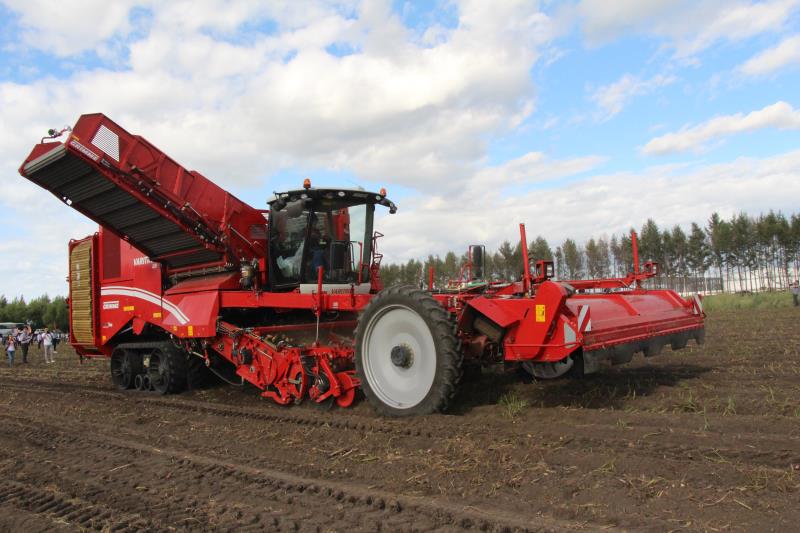 探访中国西北规模最大马铃薯基因库