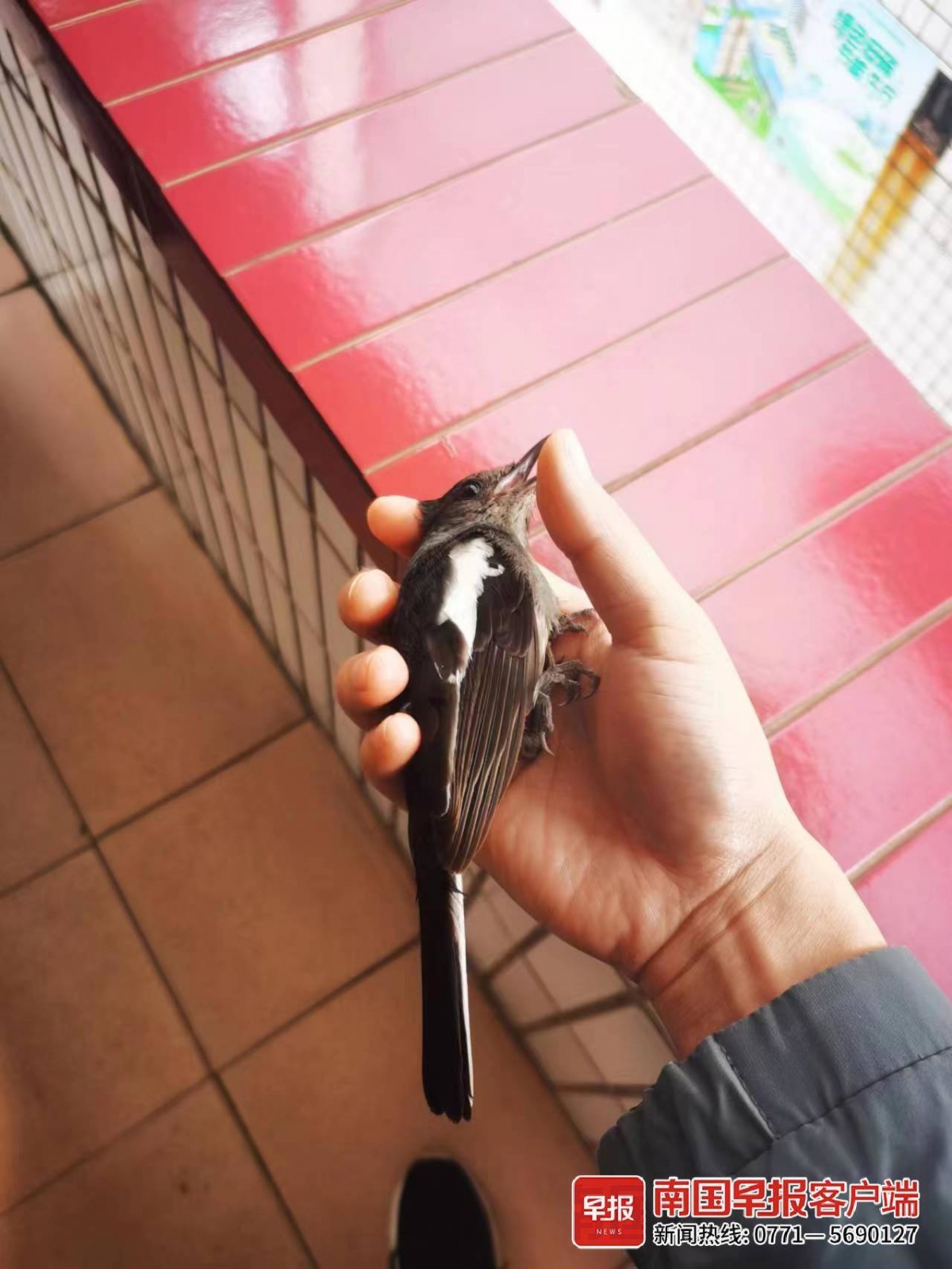 立方风控鸟·早报（3月21日）