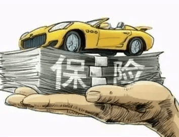 蔬菜种植行业现状与发展趋势分析(2026年)_人保财险 ,人保有温度