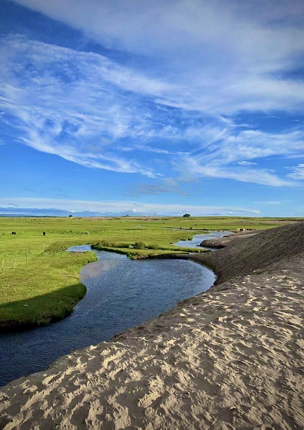 （走进中国乡村）草原村播：一根网线连山海