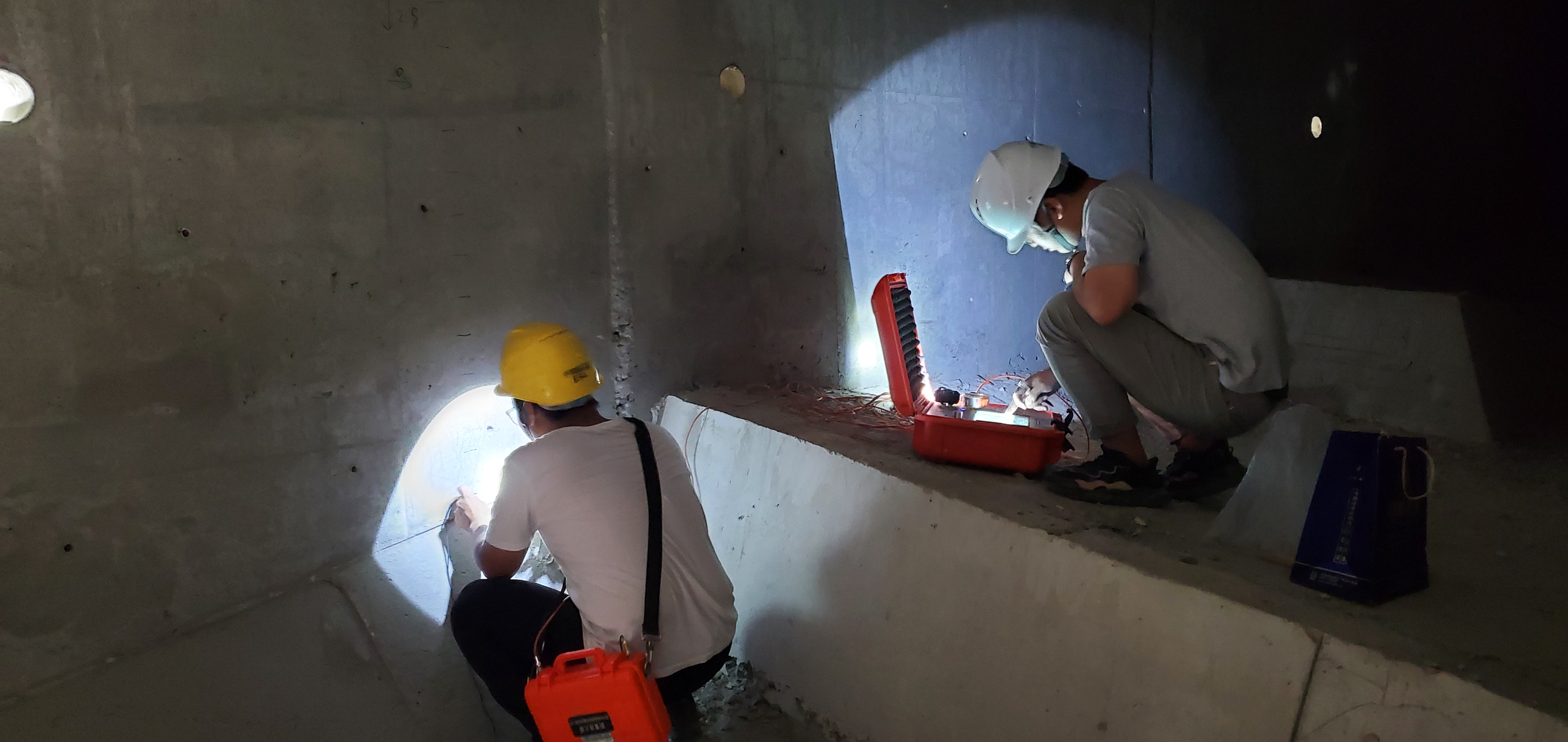 科学家实现DNA安全加密实景测试