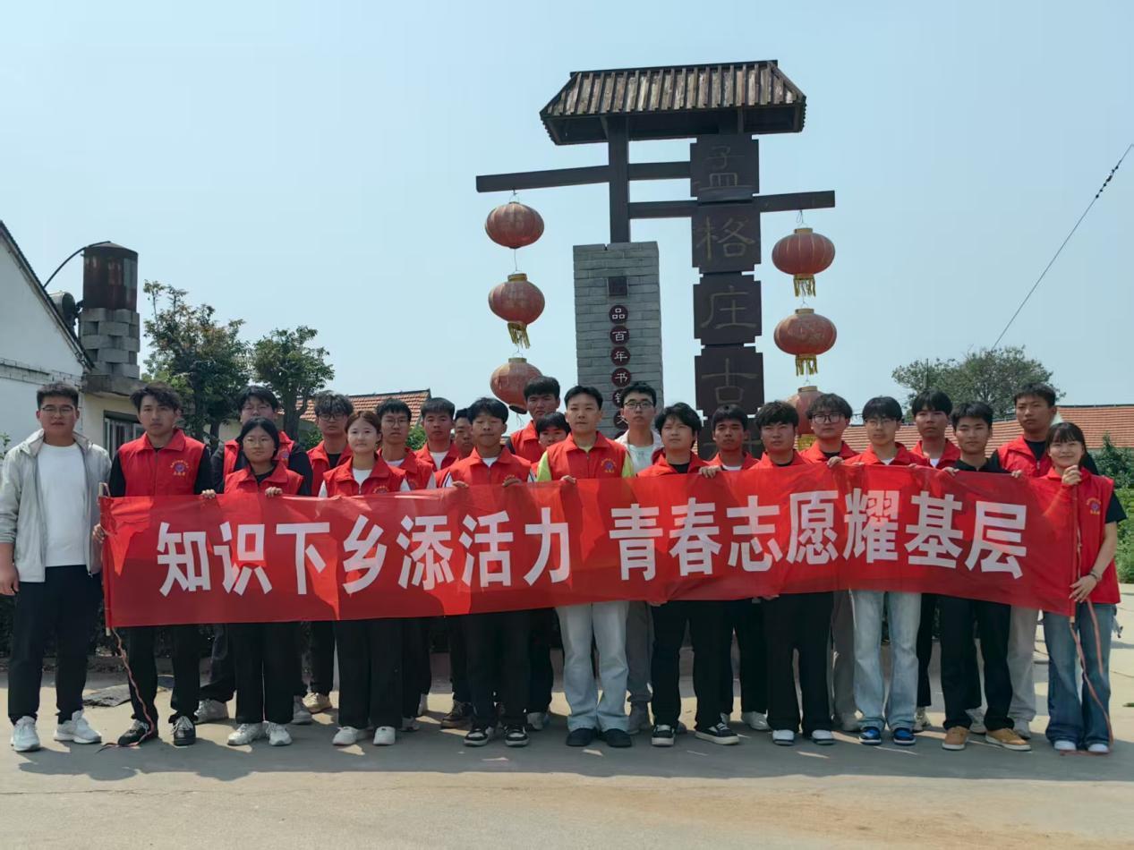 （乡村行・看振兴）浙江庆元山乡“组团”促振兴 茶叶飘香共富路