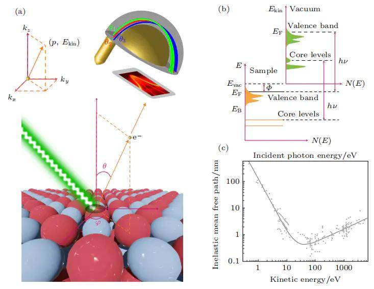 东方钽业：公司生产的超导铌腔主要用于粒子加速器、同步辐射光源等大科学装置，主要用于基础物理研究