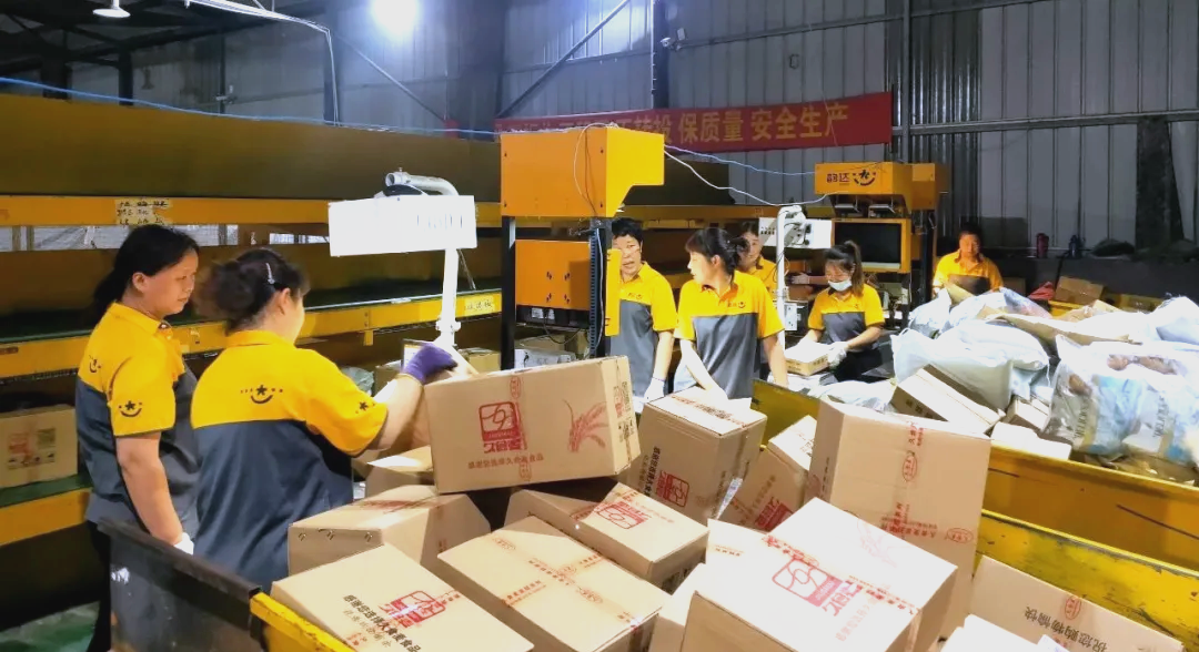 定制化服务，韵达助力各地新茶上市寄递